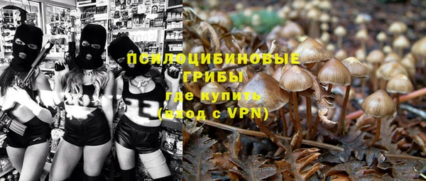 кокс Алексеевка