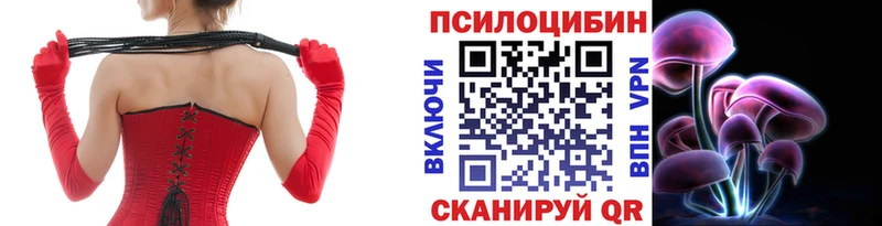 Галлюциногенные грибы мицелий  закладка  Геленджик 