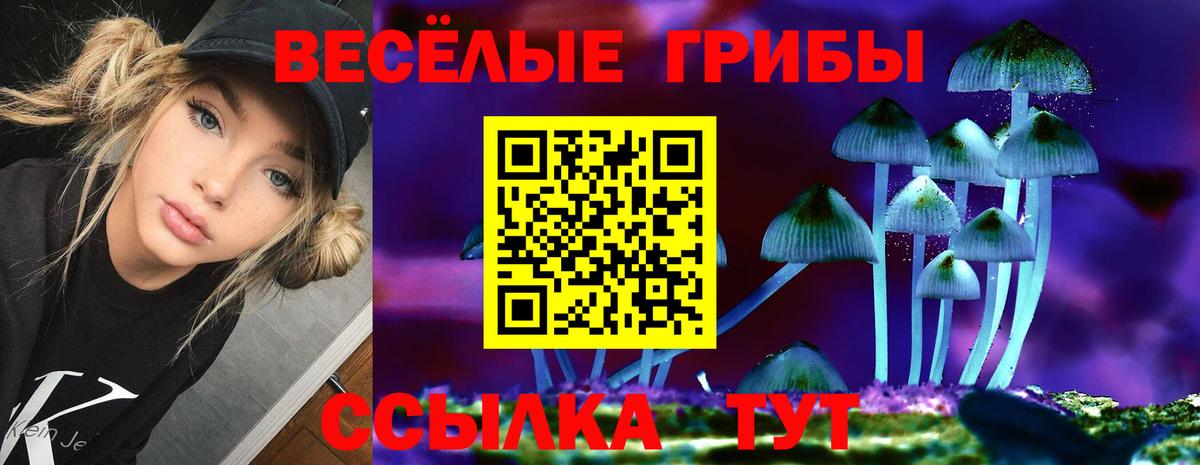 Псилоцибиновые грибы GOLDEN TEACHER  Вход с VPN  Геленджик  Галлюциногенные грибы Magic Shrooms 