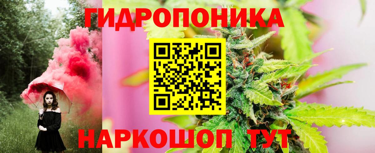 МАРИХУАНА план  Бошки марихуана индика  Бошки Шишки планчик  Геленджик  Вход с VPN 